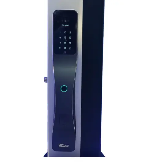 WD30